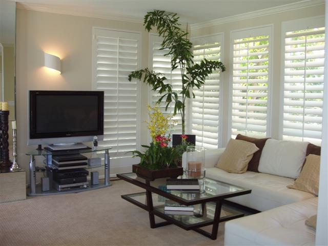Living Room Front Windows